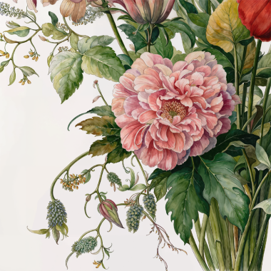 Трансфер- Гербарий 1